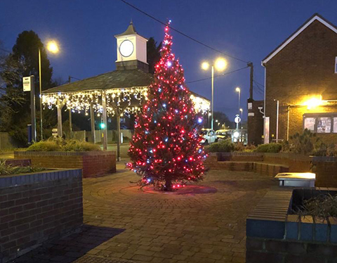 christmas tree and lights