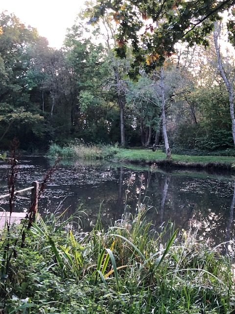 swelling hill pond