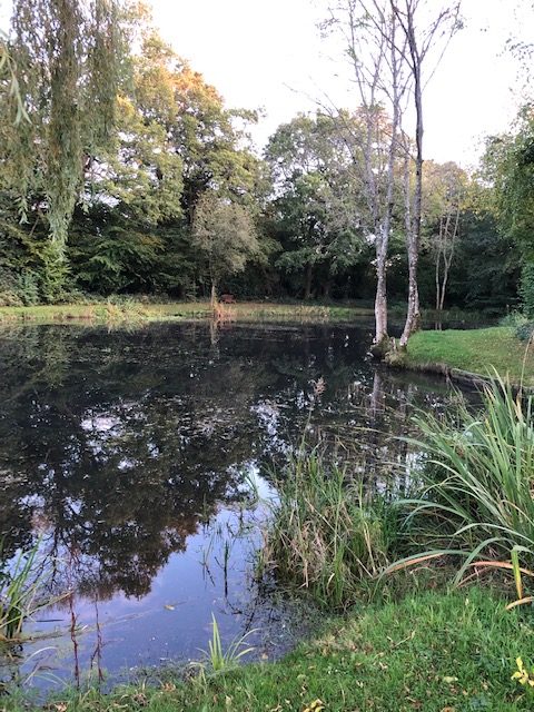 swelling hill pond