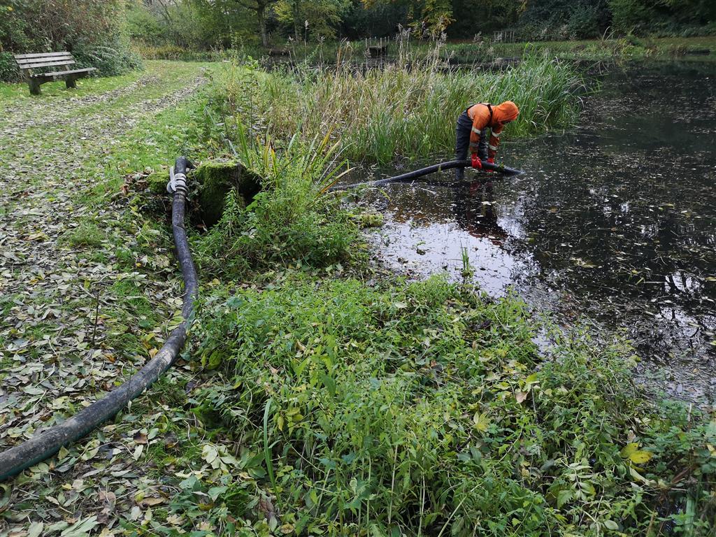 pumps in the pond