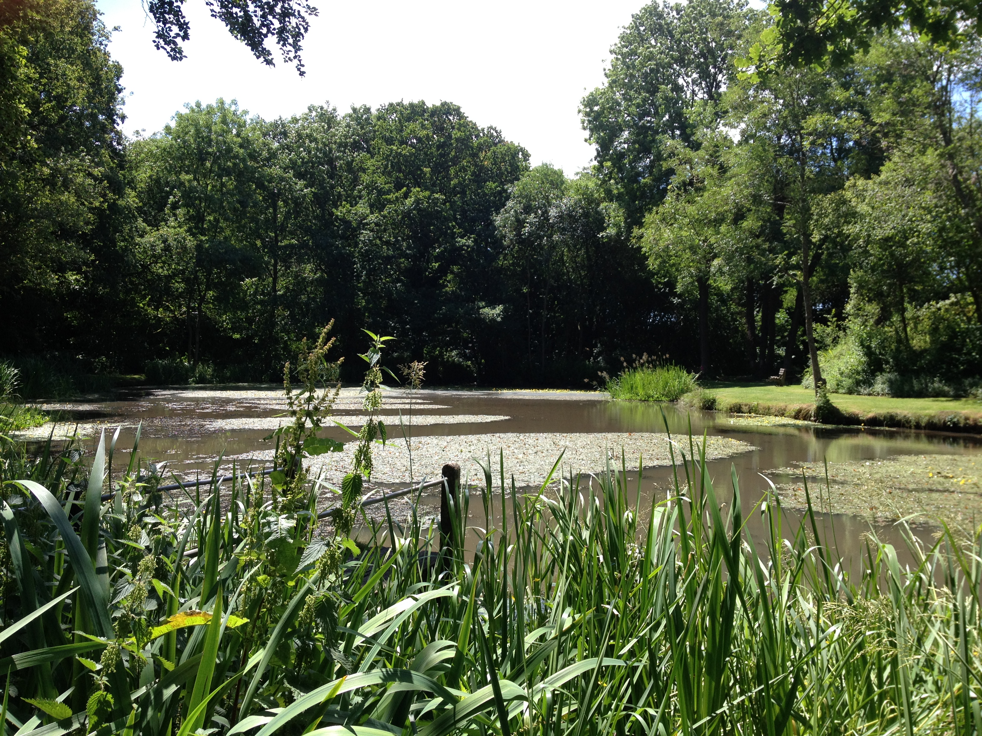 Swelling Hill Pond